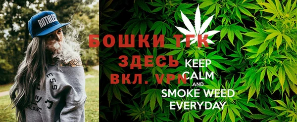 прущие грибы Ветлуга
