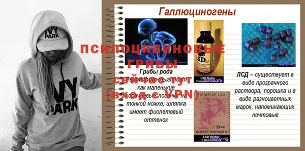 сатива Видное